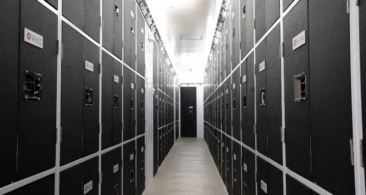 Ensure that wine is being kept away from direct sunlight and within a dry and dark storage area